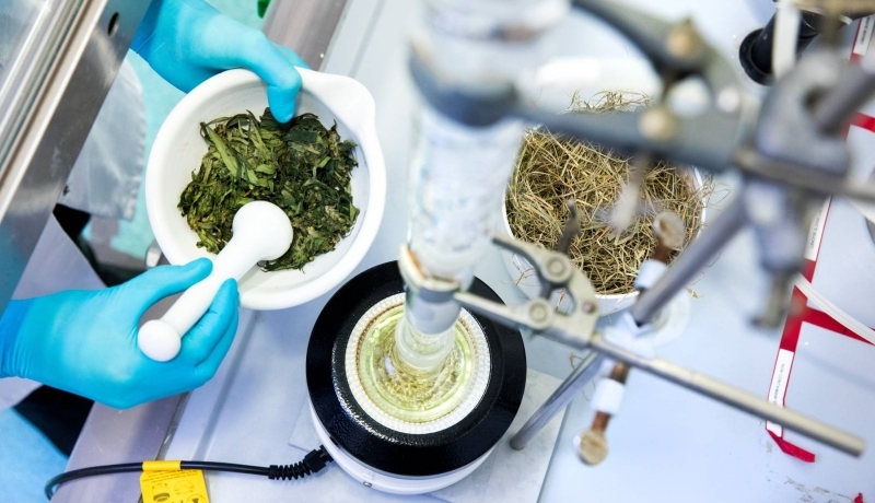 impressie cursist tijdens de cursus Fermentatietechnologie in de Biobased Economy