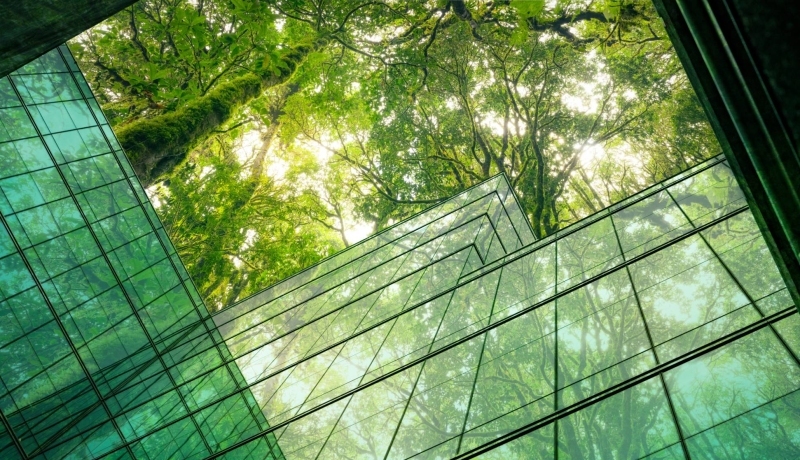 Afbeelding voor de Pitstop van 7 maart 2024, HAN Employment. Duurzaamheid, circulaire economie, nieuwe business modellen.
