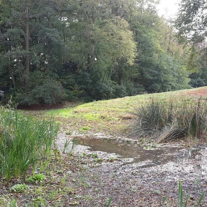Half natte beek.