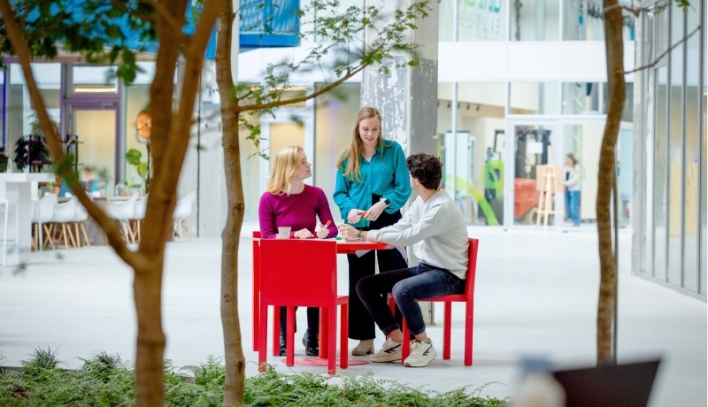 Studenten in overleg