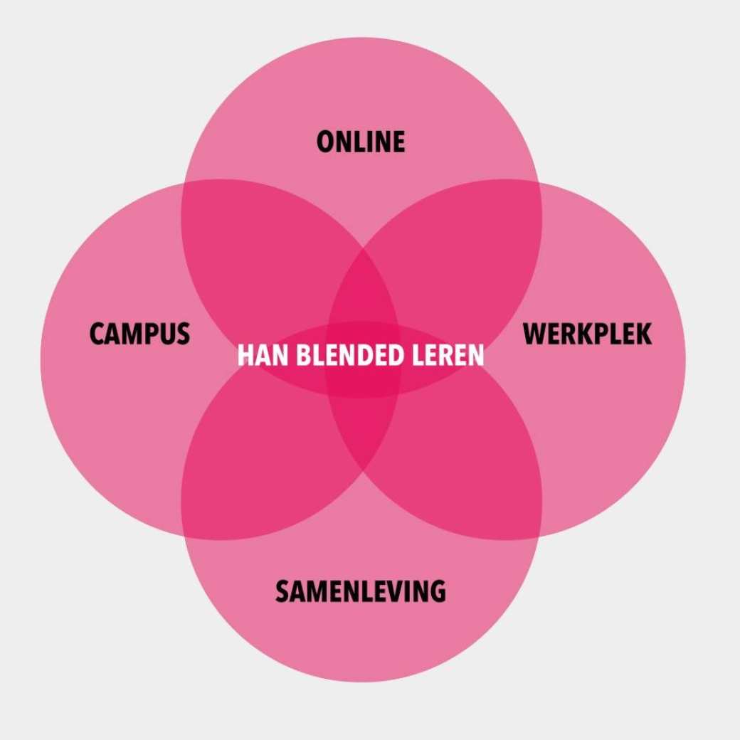 De Blended leren-bloem visualiseert de vier leeromgevingen.