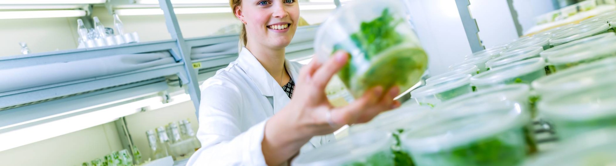 en medisch laboratoriumonderzoek student plantenpracticum laboratorium