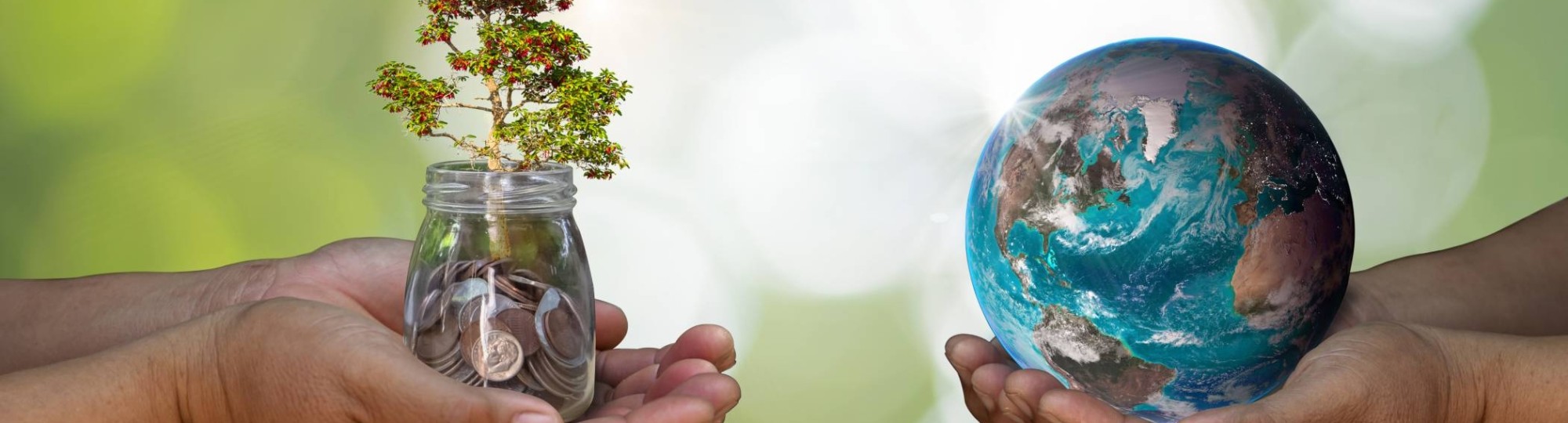 handen met wereldbol en glas met geld en-plant