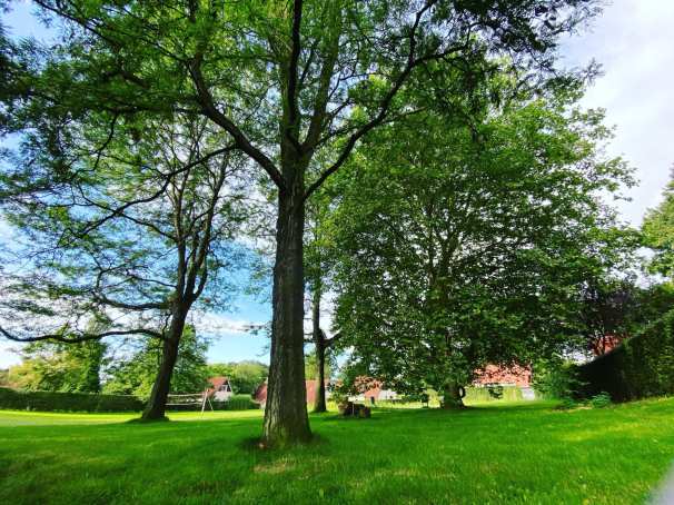 international,zeven heuvelen, Groesbeek groen