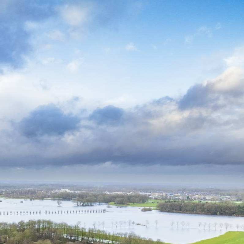 uiterwaarde