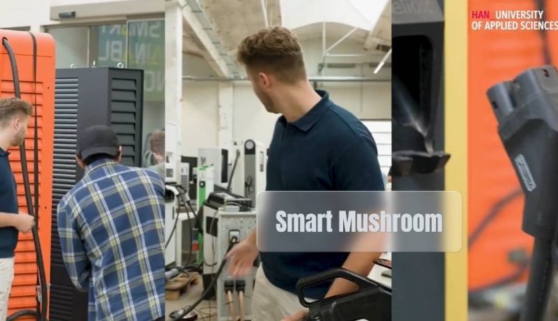Werken in Smart Mushroom