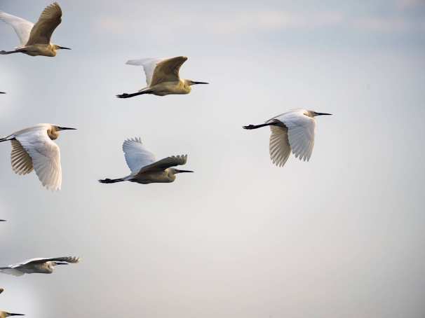 Afbeelding voor artikel over het Integriteitsatelier voor de lectoratenpagina van Financial Ethics