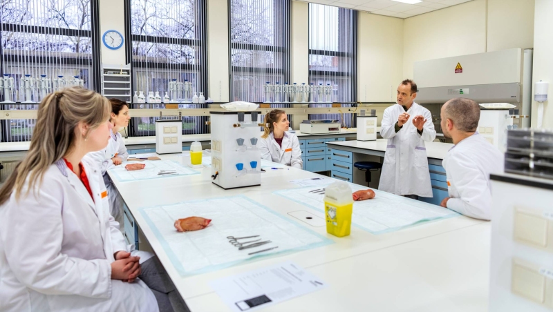 masterstudenten van de opleiding tot physician assistant luisteren naar een docent die instructies geeft over hechten