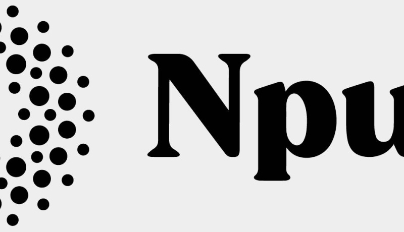 logo Npuls, onderwijsstimuleringsfonds