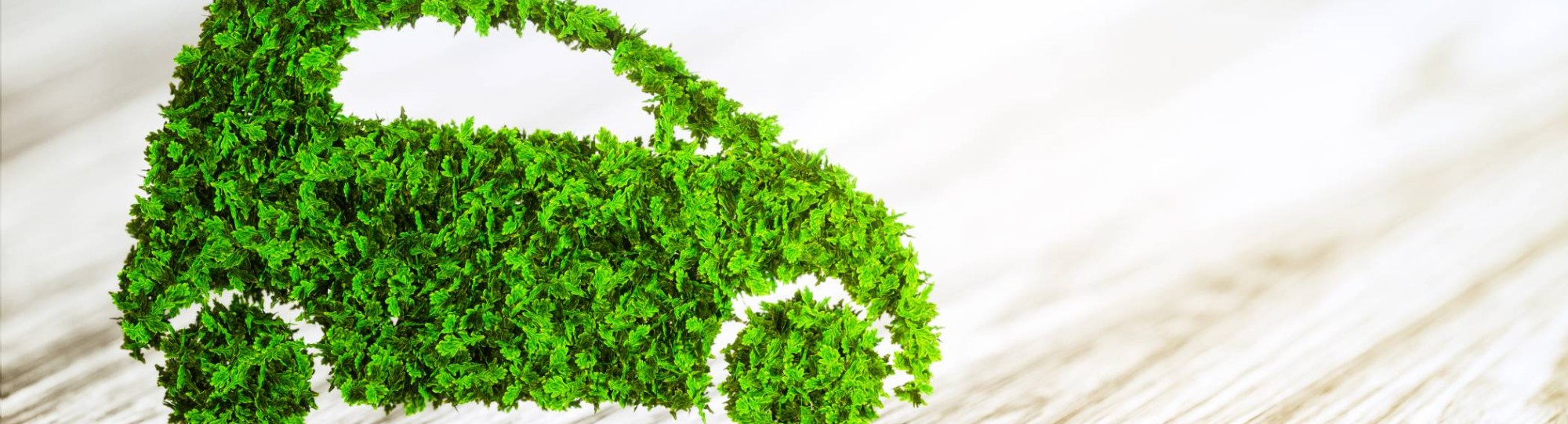 SEE, duurzaam transport groen vervoer