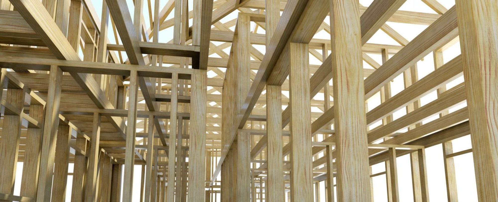 houtskelbouw doorkijkje