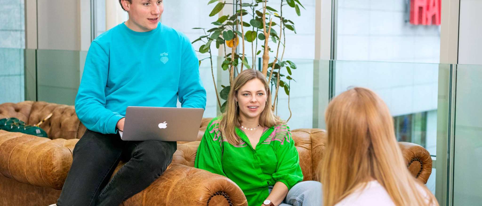 Twee studenten Leraar Duits zitten met hun laptop op schoot op de sofa iets uit te leggen aan een andere student die tegenover hen zit.
