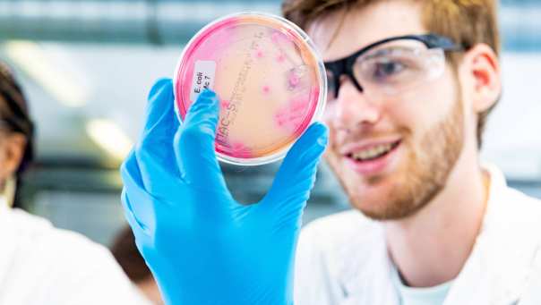 student met petrischaaltje in het lab