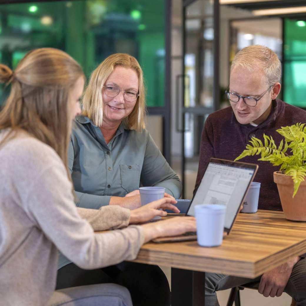 3 studenten zitten in een café te werken met een laptop. Groene achtergrond.