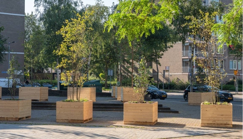 Bewegend bos gemeente Arnhem