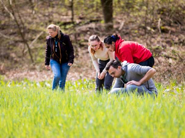 Biologie studenten en docenten kijken nieuwsgierig op het gras