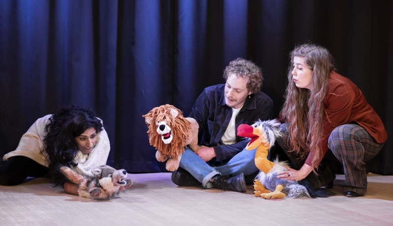 drie masterstudenten dramatherapie met handpoppen op het podium