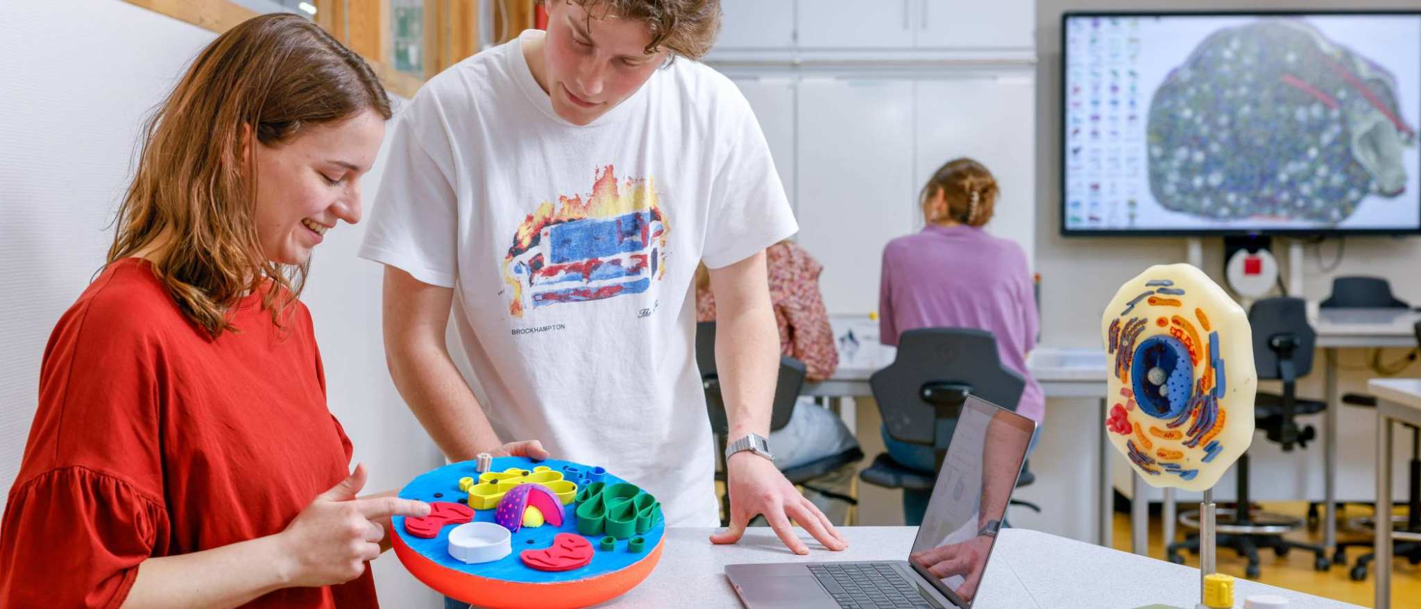 Twee studenten onderzoeken een cel. De cel is ongeveer zo groot als een bal en is door midden gesneden, zodat je kunt zien wat er in de cel zit.