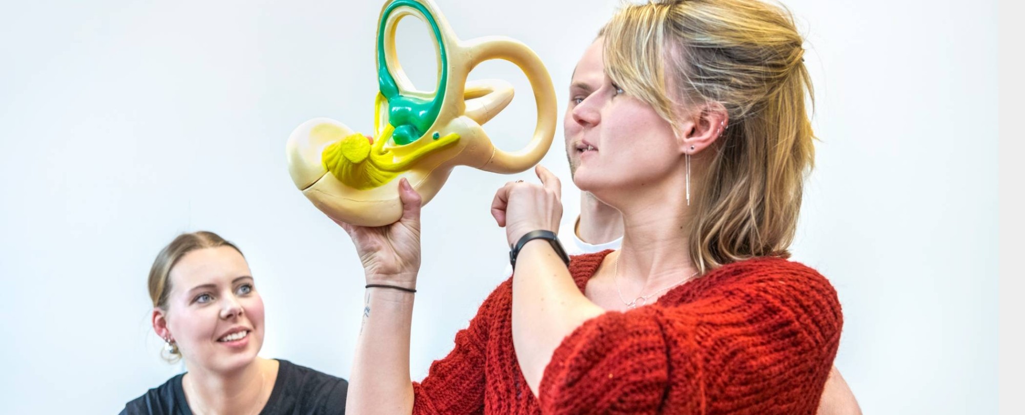 Orofaciaal fysiotherapeut laat een model van het oor-/halsgebied zien.