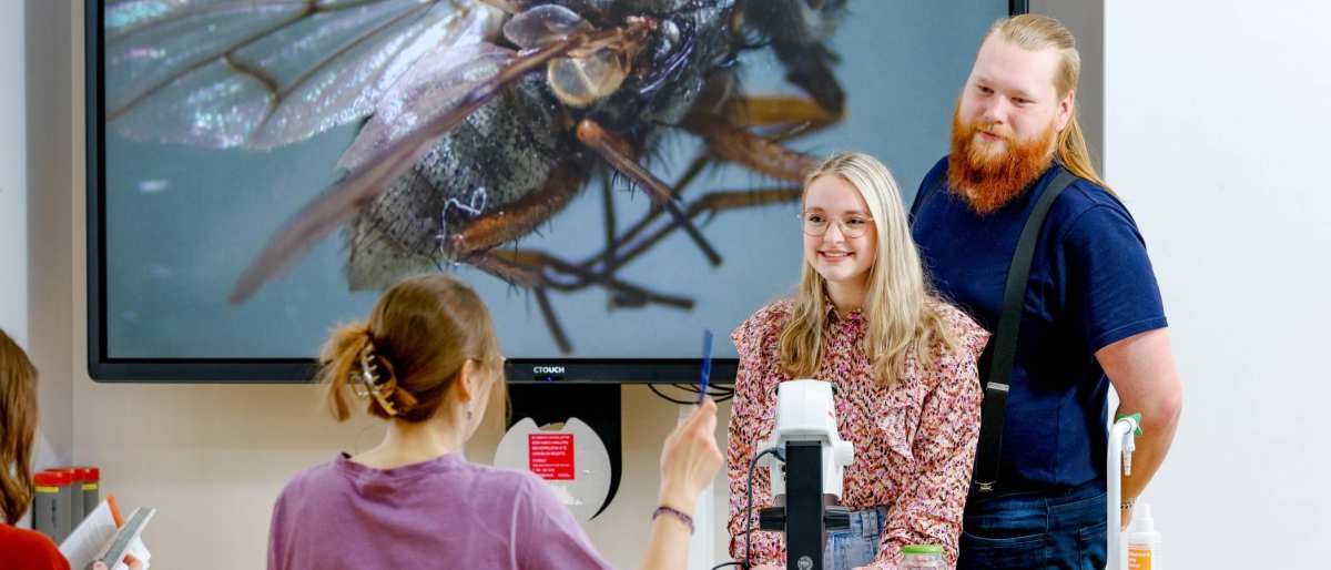 Twee studenten staan samen voor de klas. Op het digibord staat een vlieg geprojecteerd.