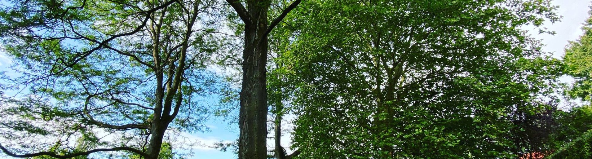 international,zeven heuvelen, Groesbeek groen