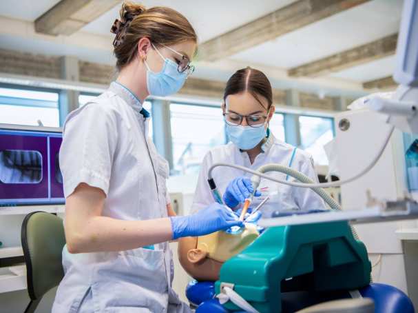 2 studenten voeren een behandeling uit op een patient.