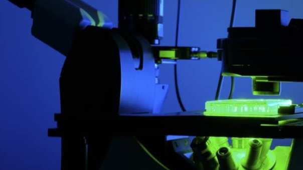 Organoid, microscoop en labonderzoek staan voor drug discovery.