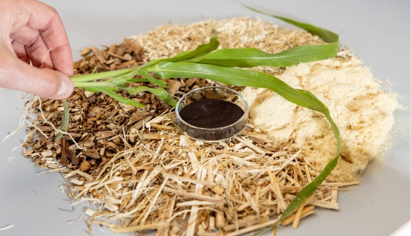 Foto's van biomassa en lignine voor het Connecting Fibers project
