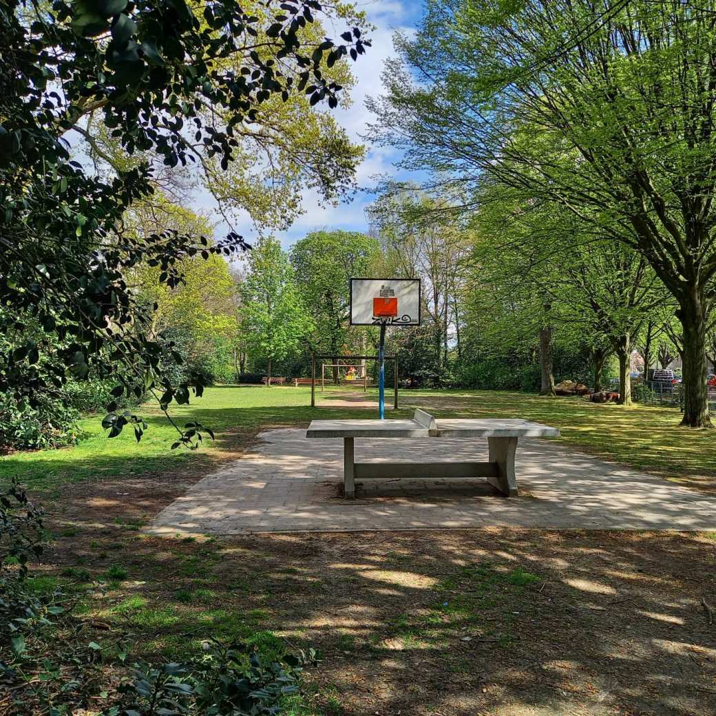 Basketbalveld