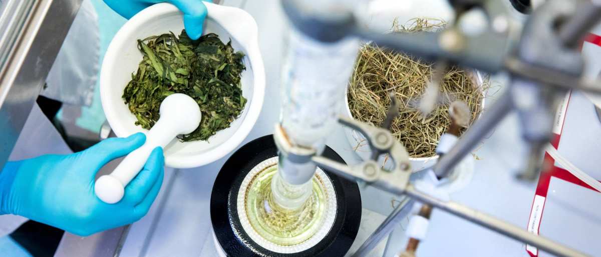biocentre bioraffinage13