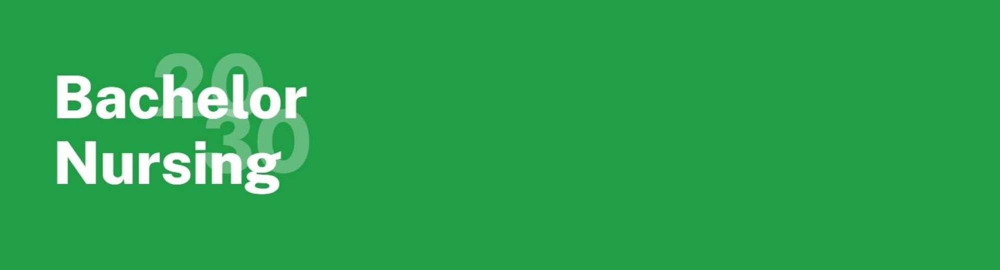 Header voor het nieuwe opleidingsprofiel Bachelor of Nursing 2030.