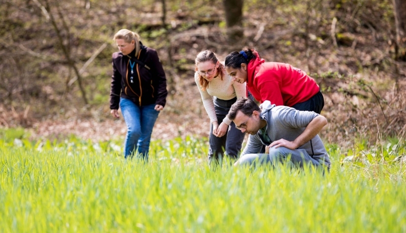 Biologie studenten en docenten kijken nieuwsgierig op het gras