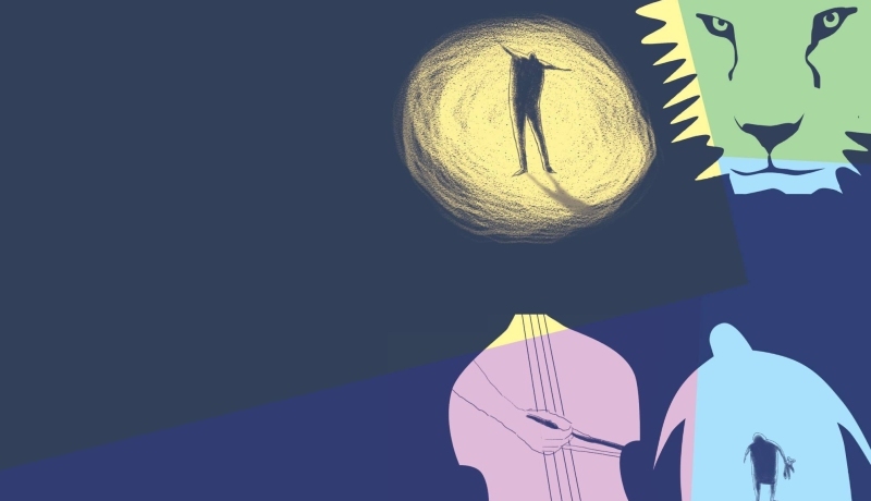Cover van het boek dat gaat over vaktherapie in de gezondheidszorg.
