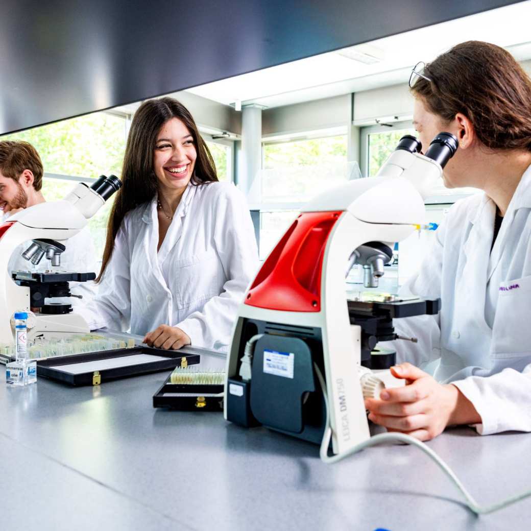 Drie studenten aan het werk achter de microscoop in het lab