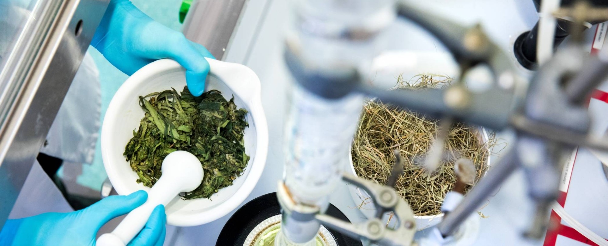 impressie cursist tijdens de cursus Fermentatietechnologie in de Biobased Economy