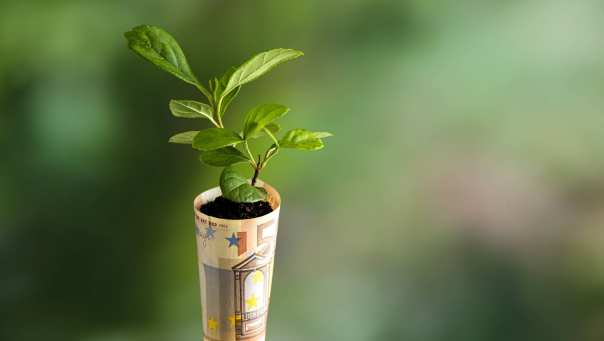 Eurobriefje met plantje