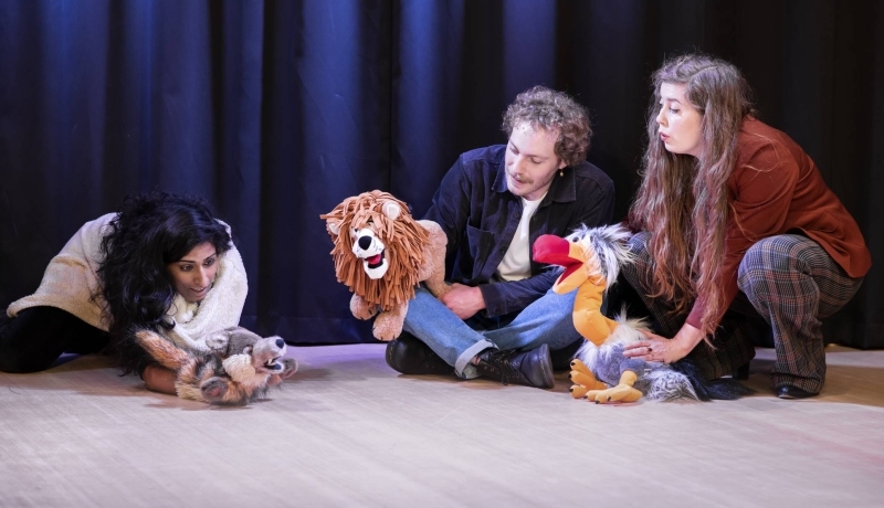 3 studenten van de han master vaktherapie dramatherapie oefenen met handpoppen op een podium