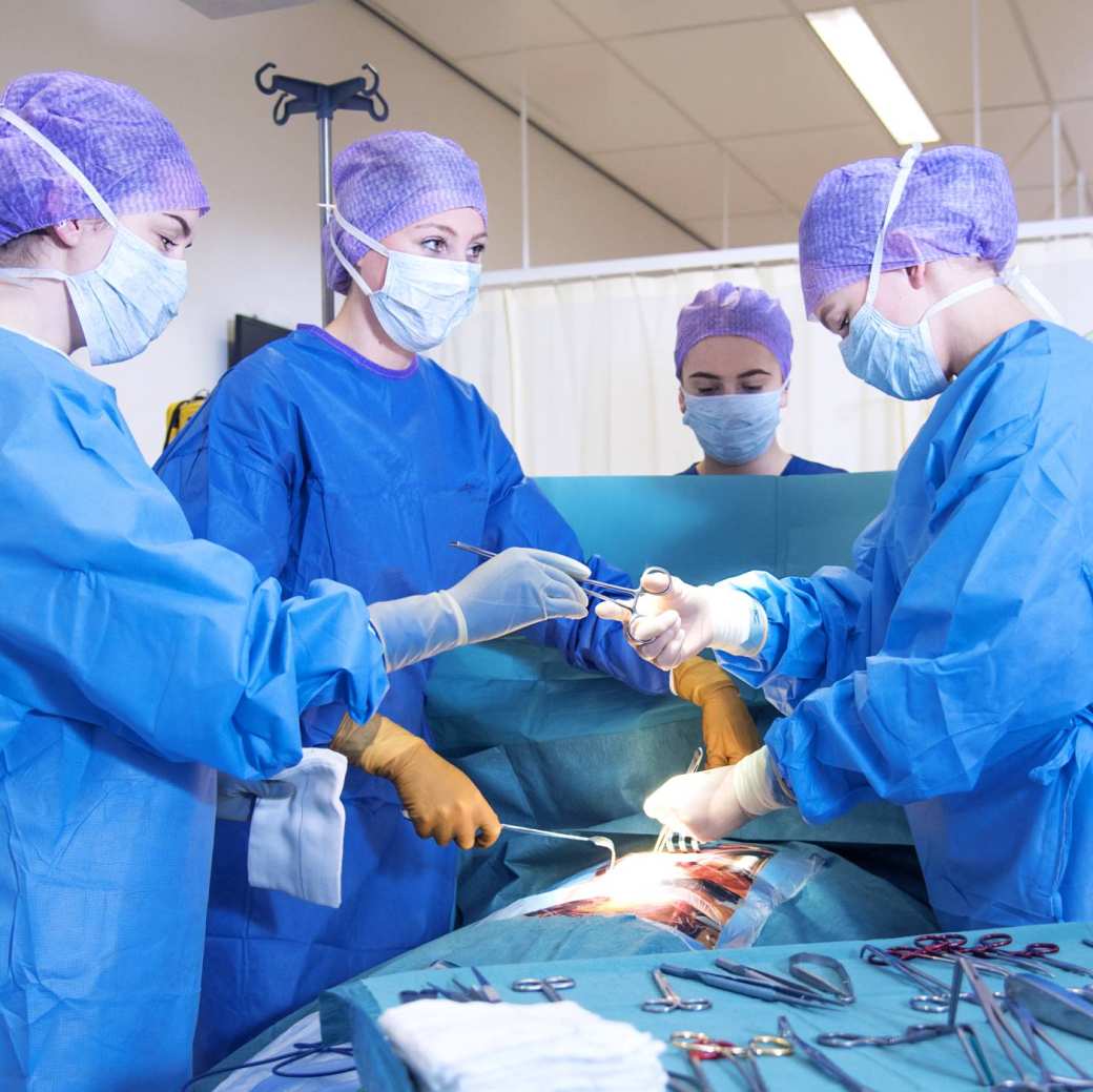 Hulpverlening studenten oefenen operatie zonder docent