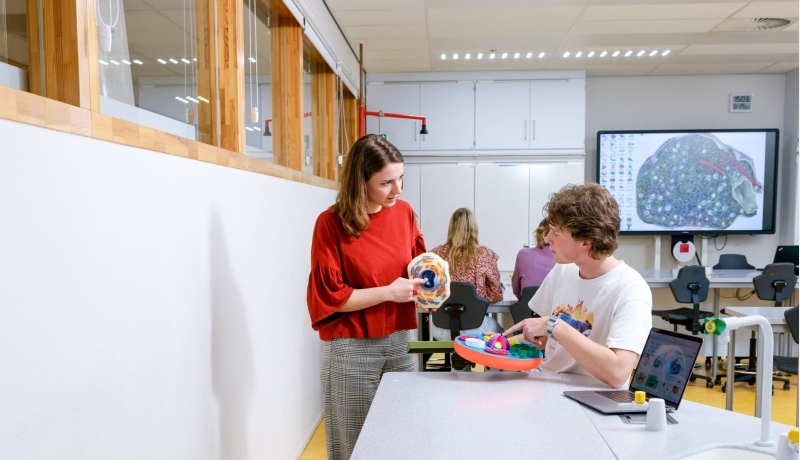 Twee studenten zijn met grote cellen bezig en overleggen.