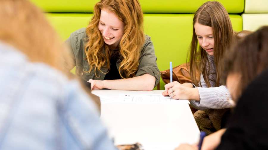 Vrolijke Alpo studenten vullen formulier in