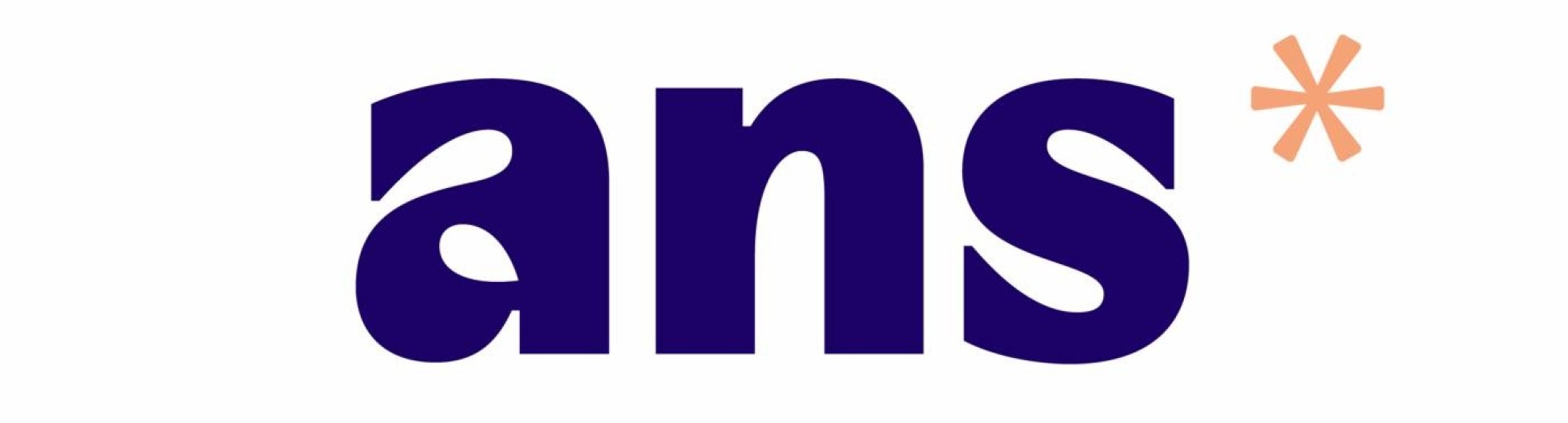 Digitaal toetsen logo's Schoolyear. ANS