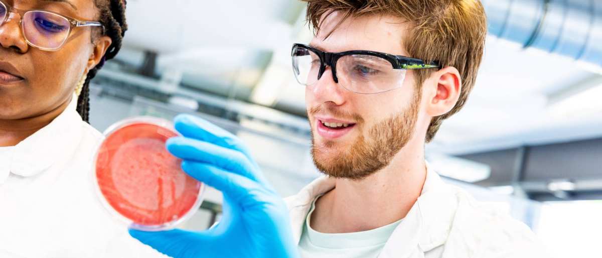 studenten aan het werk met een petrischaaltje
