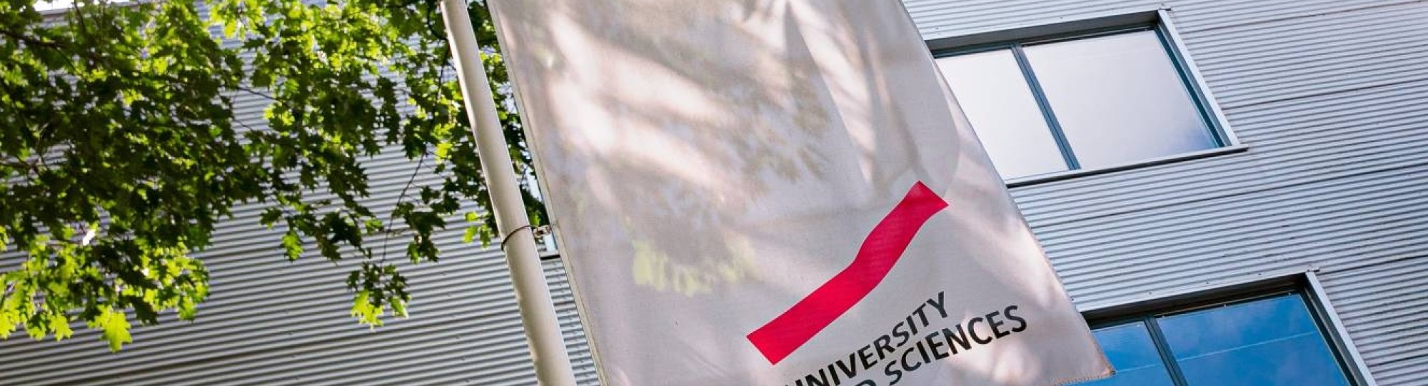 Arnhem, Ruitenberglaan 31, vlag, vooraanzicht, banier, wit