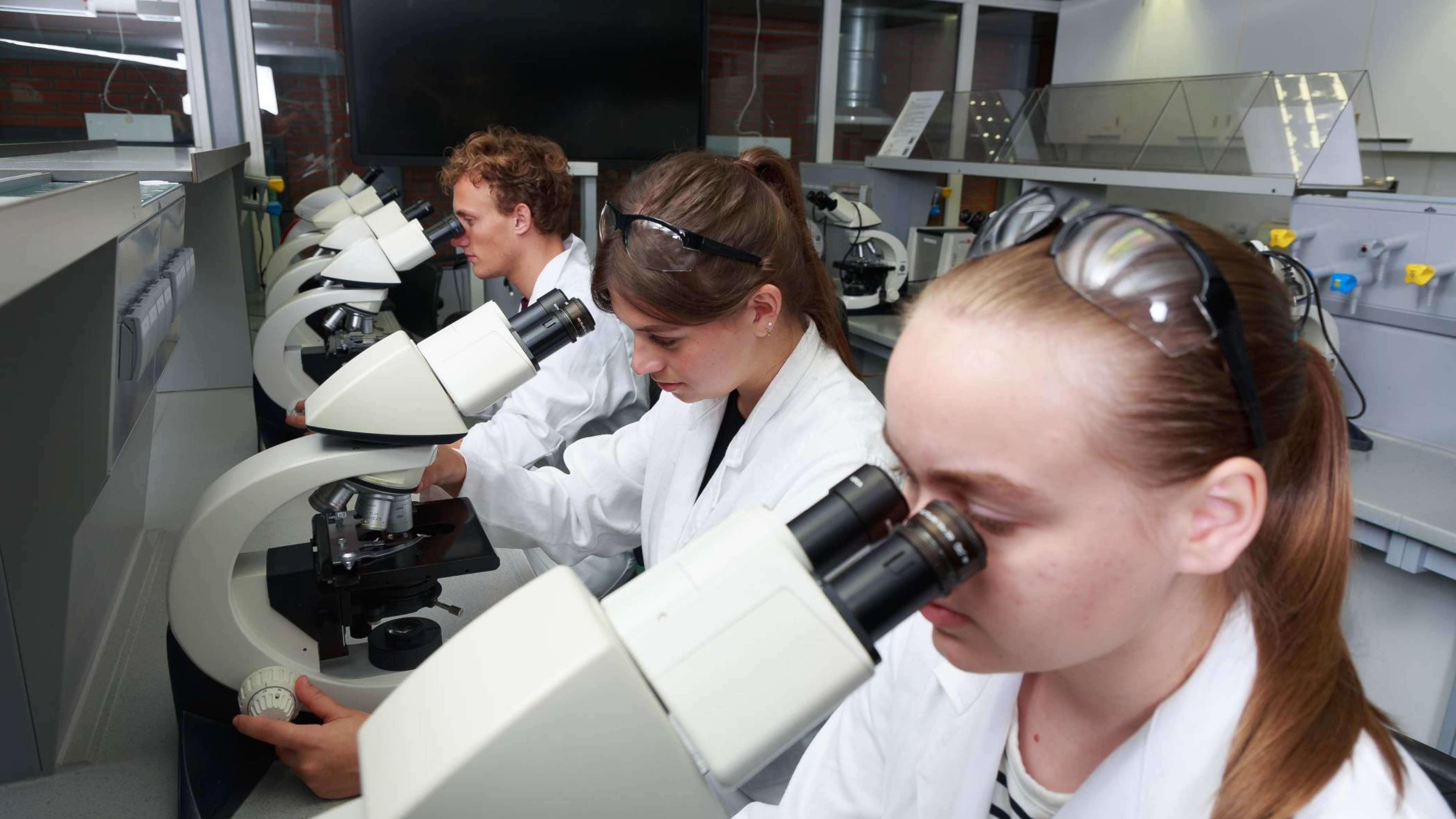 meerdere studenten bekijken iets onder de microscoop