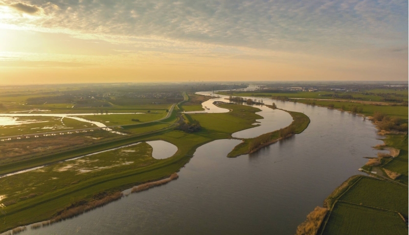 Uiterwaarden