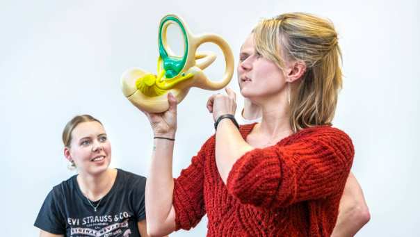 Orofaciaal fysiotherapeut laat een model van het oor-/halsgebied zien.