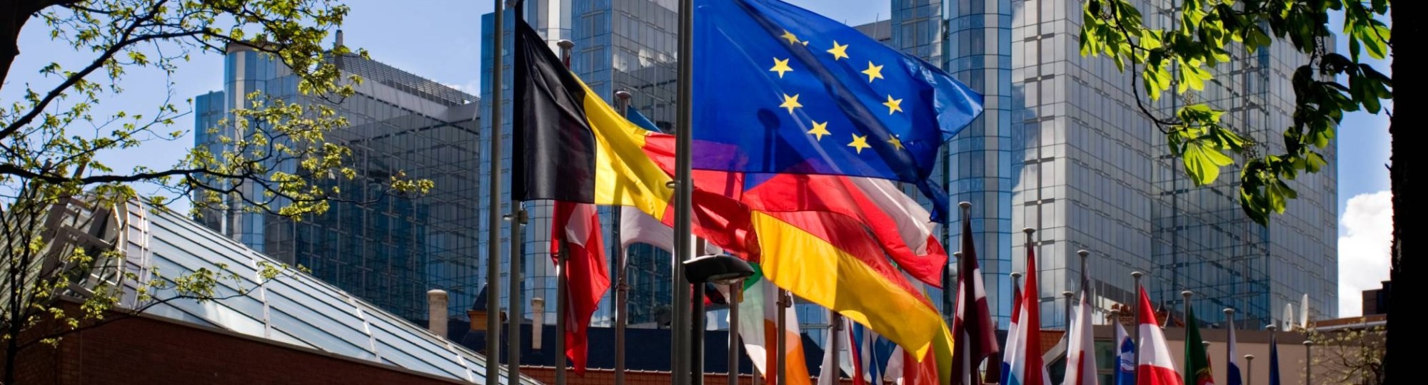 Excursie Brussel