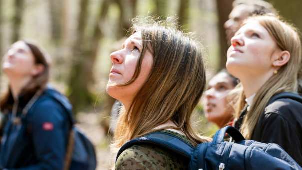 Biologie studenten kijken omhoog