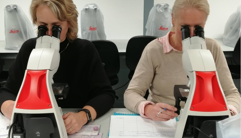 Cursisten kijken door microscoop bij cursus Morfologie van het Urinesediment