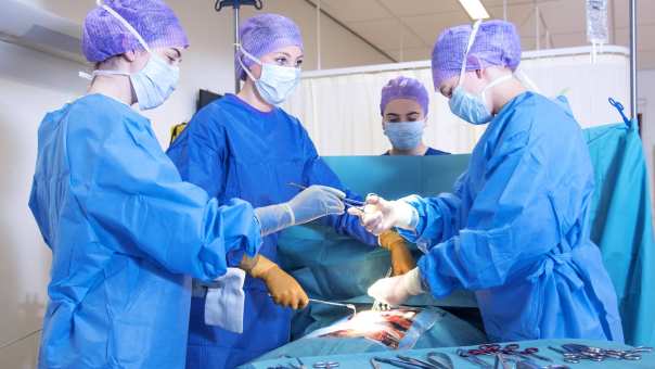 Hulpverlening studenten oefenen operatie zonder docent